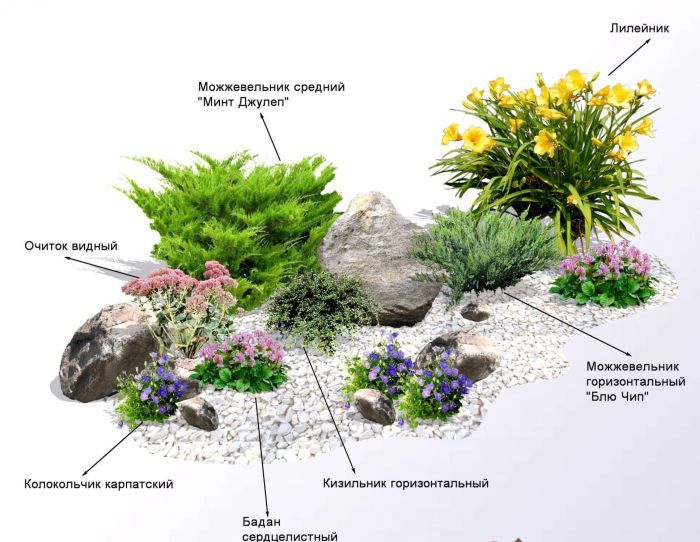проект альпийской горки со списком растений